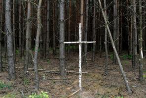 Brzozowy krzyż na skraju lasu przy tzw. trupim polu w rejonie wsi Ostrówki na Ukrainie. Spoczywają tam szczątki Polaków zamordowanych w 1943 r.