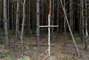 Brzozowy krzyż na skraju lasu przy tzw. trupim polu w rejonie wsi Ostrówki na Ukrainie. Spoczywają tam szczątki Polaków zamordowanych w 1943 r.