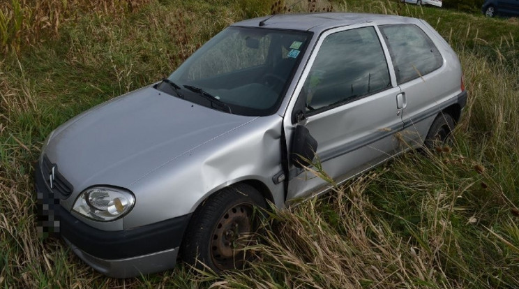 Egy cica miatt rántotta félre a kormányt egy fiatal sofőr / Fotó: Police.hu