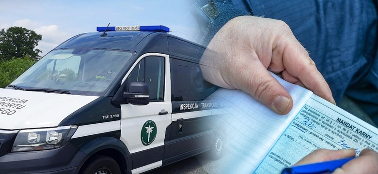 Nowe prawo dla kierowców w wakacje. Posypały się pierwsze mandaty
