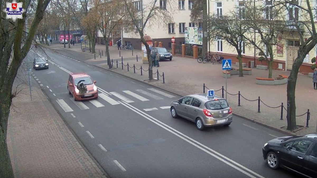 Kierowca auta potrącił kobietę na pasach. Później stwierdził, że piesza wtargnęła na jezdnię. 62-letniemu mężczyźnie zabrano prawo jazdy. Sprawa znajdzie swój finał w sądzie.