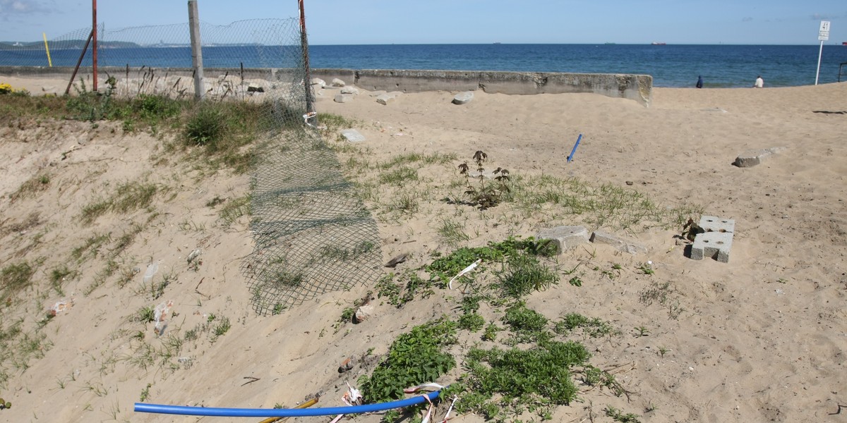 Syf na plaży w Gdańsku