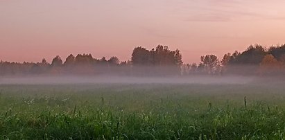 Mgła jak mleko na początek dnia. A potem? Nawet 21 stopni! Gdzie? Mamy nową prognozę synoptyków na weekend