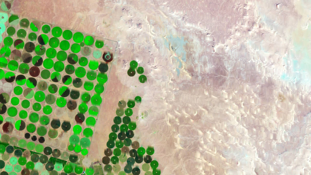 NASA opublikowała ciekawe zdjęcia, na których widać Arabię Saudyjską. Uwagę przyciągają przede wszystkim zielone koła - skąd się wzięły?