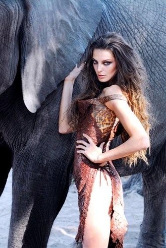 W Polsce zobaczymy go w grudniu