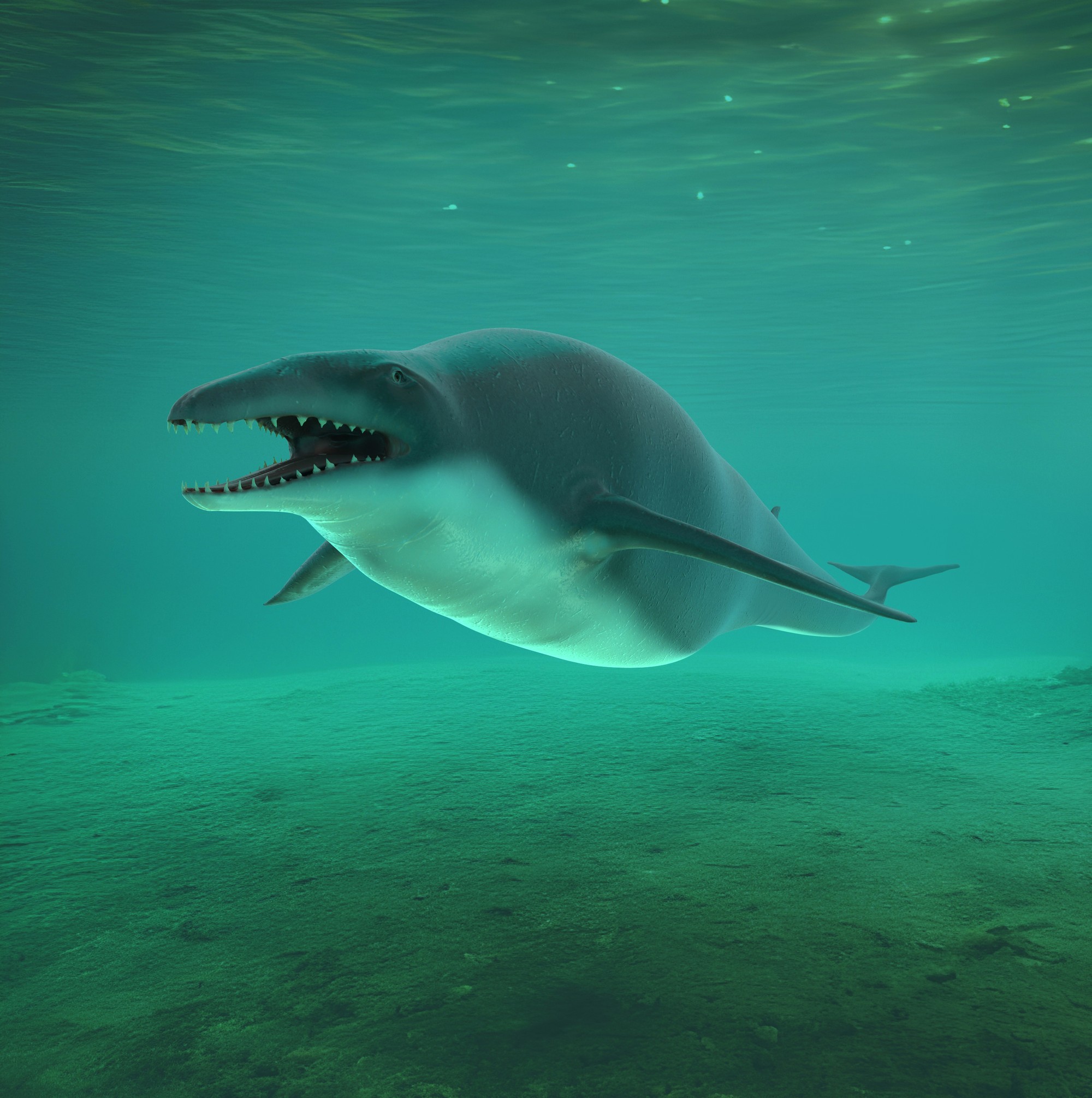 Basilosaurus