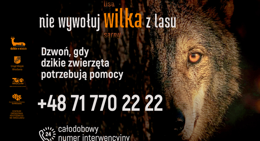 Dzikie w mieście - numer interwencyjny