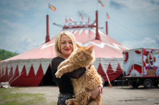 Mama dyrektora Cyrku Wictoria Jola Hakobyan z kotem Rudolfem