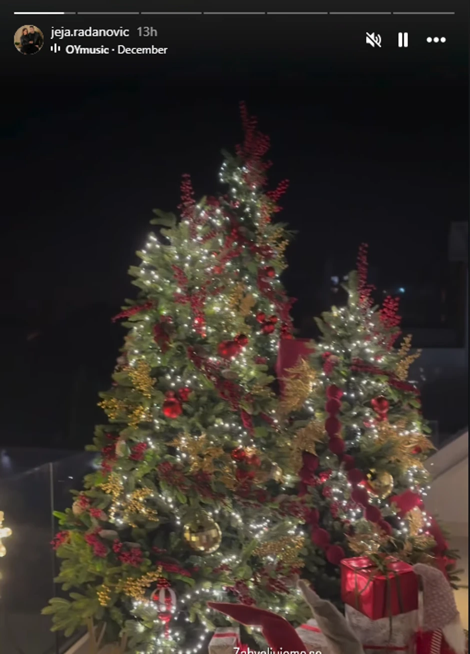 Unutrašnjost kuće Slobe Radanovića