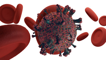 Aggasztó felfedezés a tudósoktól:  új genetikai mutációja terjed a koronavírusnak