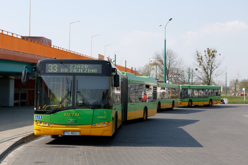 Autobus poznańskiej komunikacji miejskiej