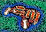 image004-d000005211d999f373905