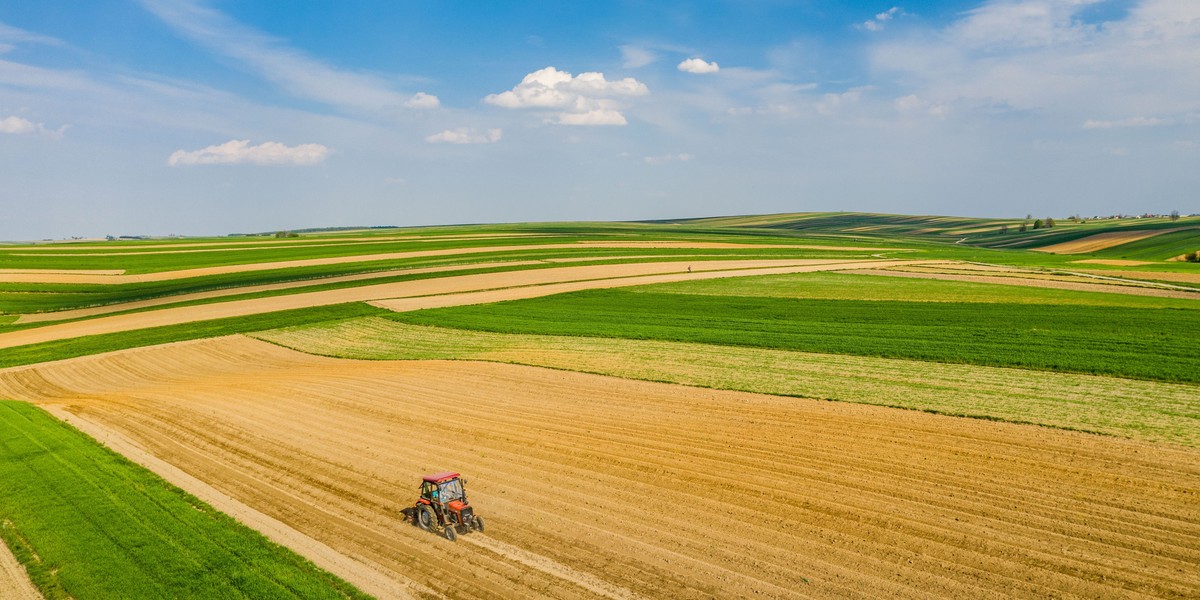 Sułoszowa 09.05.2020 Wiosna na polach w Malopolsce