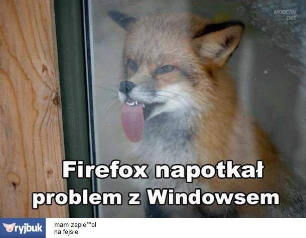 Galeria najlepszych MEMów minionego tygodnia