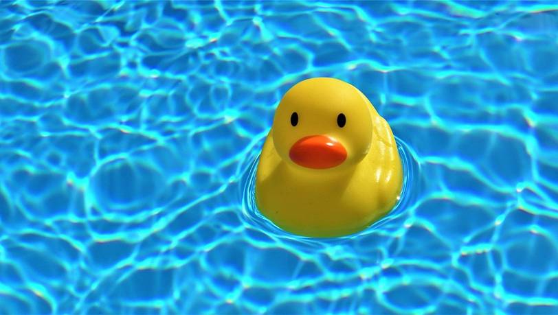 Mit einem Frame Pool schnell und einfach zum Badespaß im Garten