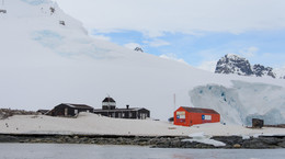 Koronawirus dotarł na Antarktydę? Media o wybuchu epidemii w bazie badawczej. Skutki mogą być katastrofalne
