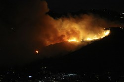 Hollywood w ogniu. Opóźnione Oscary, odwołane premiery, słynna Aleja Gwiazd zagrożona