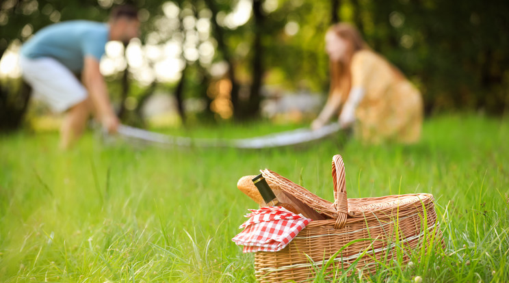 Piknikezzünk különleges ételekkel / Fotó: Shutterstock