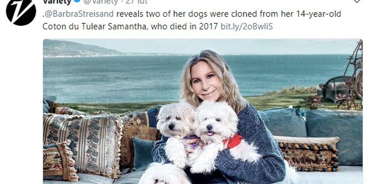 Barbra Streisand sklonowała Samanthę