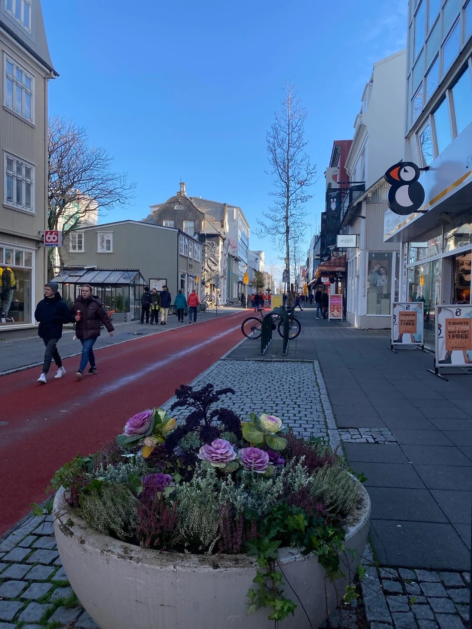 Glavni grad Islanda - Rejkjavik (Reykjavik)