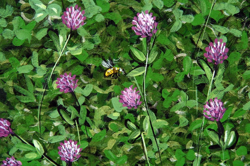 Polje crvene deteline, detalj