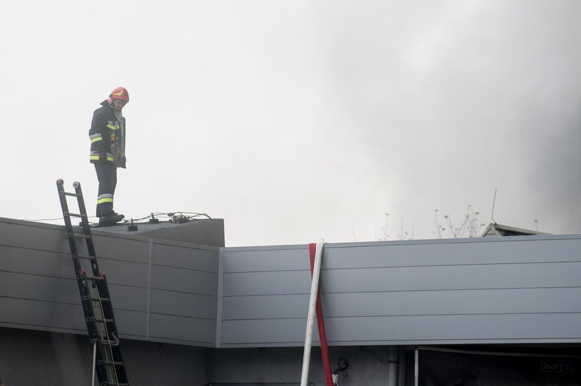 Pożar wysypiska śmieci w Kluczach pod Olkuszem