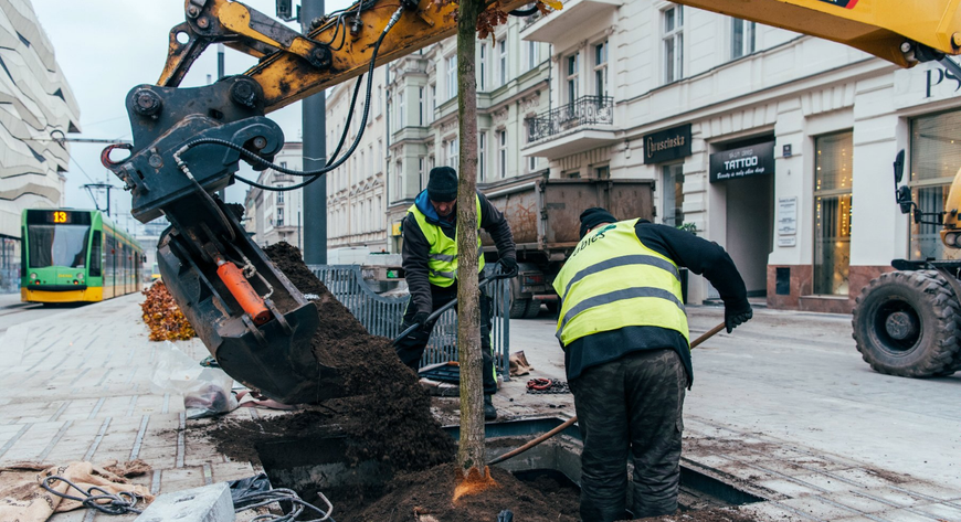 Okazałe i szlachetne drzewa nie tylko będą dawać cień i poprawiać jakość powietrza, stworzą też perspektywę widokową na gmach Muzeum Narodowego