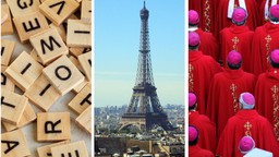 Morderczy QUIZ z wiedzy ogólnej. 10/15 to dobry wynik