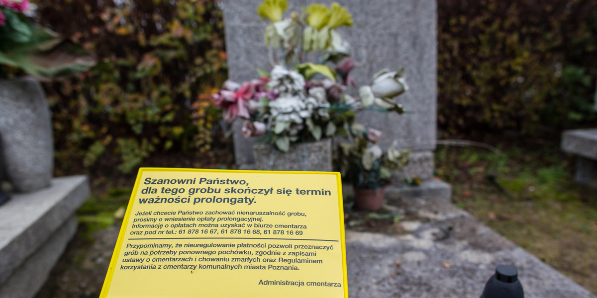 30 tysięcy grobów do likwidacji na cmentarzach komunalnych w Poznaniu