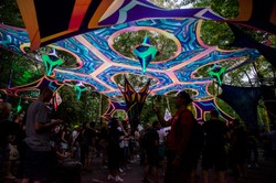 Fest Festiwal odwołany. Organizator ma mieć gigantyczne problemy finansowe