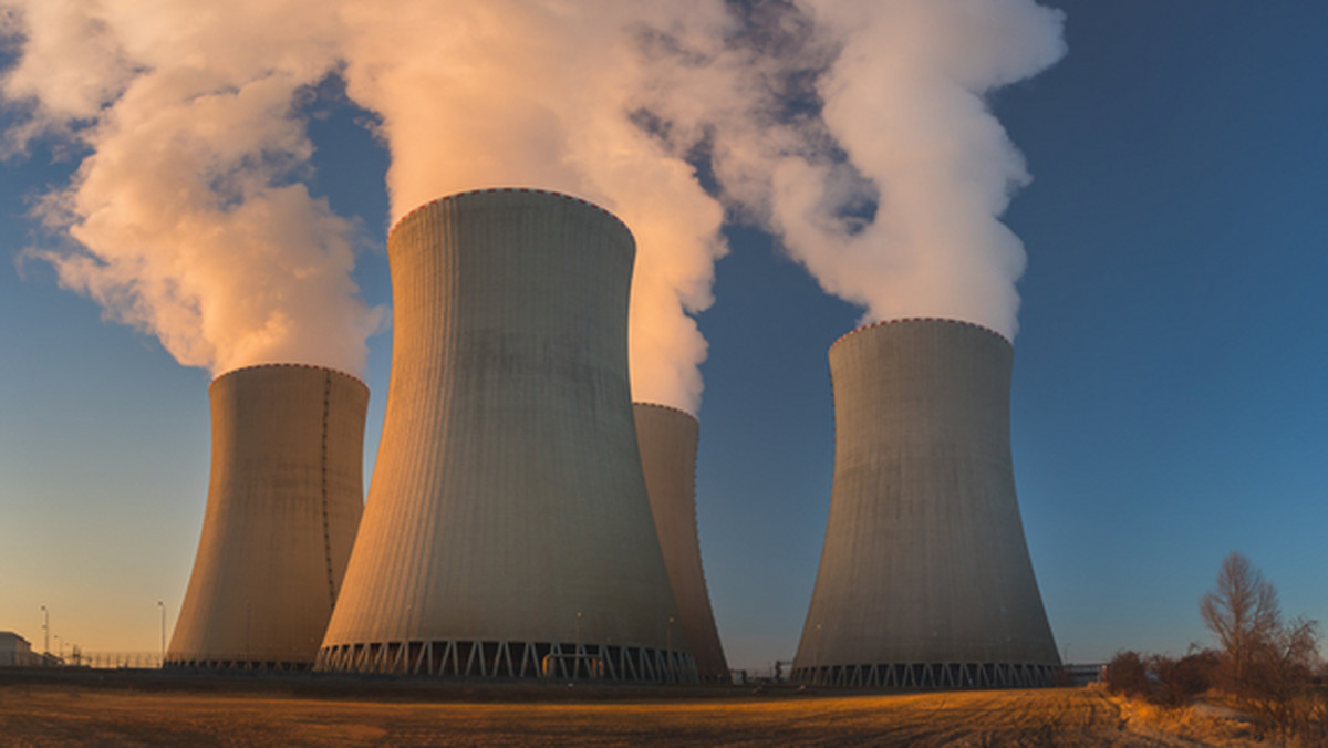 Sprzeciwiają się budowie elektrowni atomowej w Polsce. Przypominają o Czarnobylu