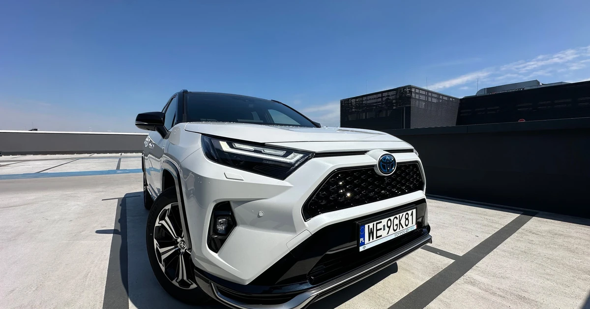 Te auta są najlepsze z najlepszych. Jeden koncern dominuje