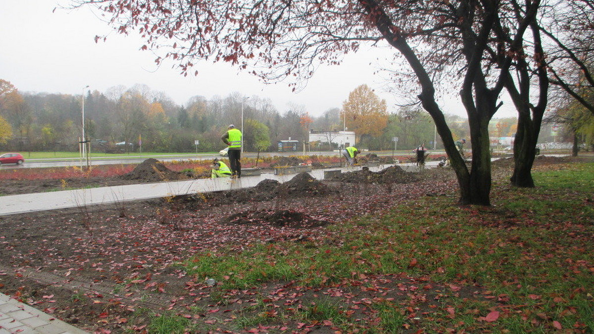 Zakończył się budowa parku pomiędzy ulicą Lutomierską i Drewnowska w Łodzi. Przestrzeń powstała w ramach budżetu obywatelskiego.