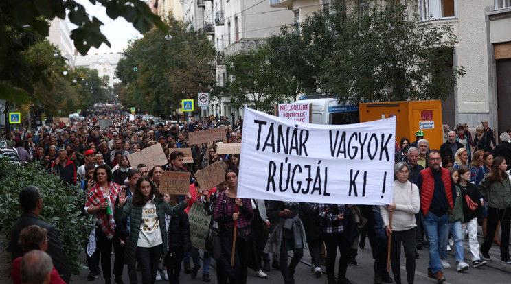 Hatalmas tömeg demonstrált a tanárokért / Fotó: Czerkl Gábor