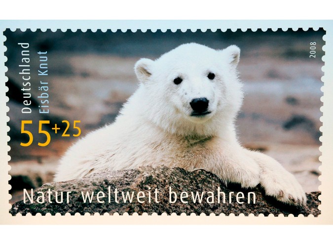 W 2008 roku wizerunek misia Knuta znalazł się na znaczkach pocztowych