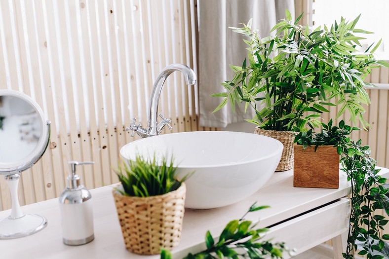 Sztuczne rośliny w łazience / shutterstock 