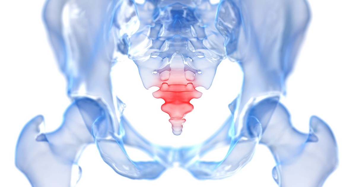 A single genetic tweak caused human ancestors to lose their tails 25 ...