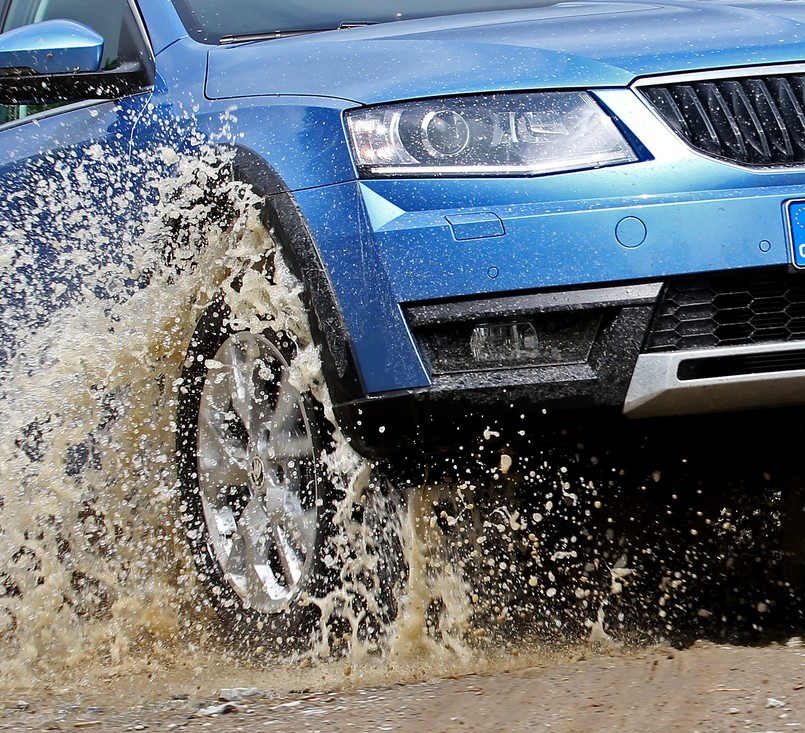 Skoda powiększa w Polsce rodzinę popularnej octavii. Czeski producent wprowadził na rynek model scout, który ma nadawać się do jazdy po umiarkowanych bezdrożach, dziurawych drogach i wysokich krawężnikach…