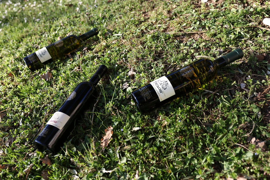 manastir-Tvrdos-vino-foto-M-Jakovljevic-ringier-2-scaled