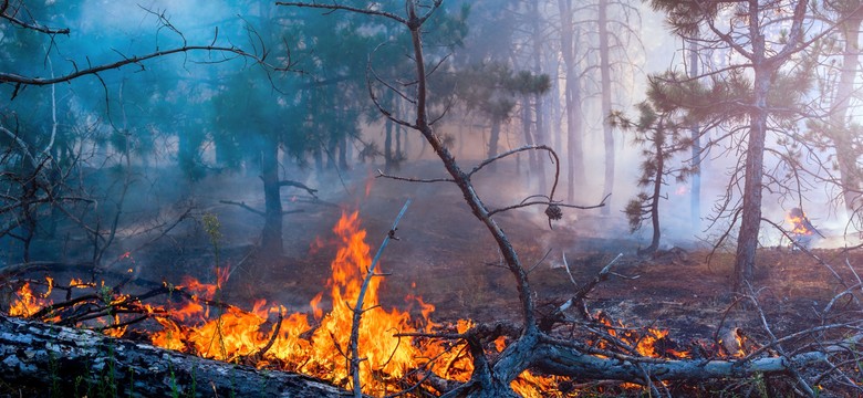 Pogoda uniemożliwia start samolotów gaśniczych w Czeskiej Szwajcarii. Jeden strażak ranny