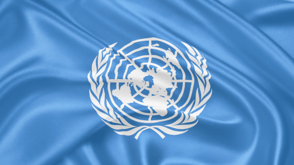 Sekretarz generalny ONZ Antonio Guterres mianował dotychczasową ambasador Szwajcarii w Niemczech Christine Schraner Burgener specjalną wysłanniczką ONZ ds. Bimy - podała ONZ. Nominacja specjalnego wysłannika była zalecana w grudniowej rezolucji ONZ.