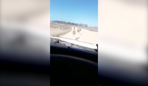 YT_manijak_gazi_ptice_vesti_blic_unsafe