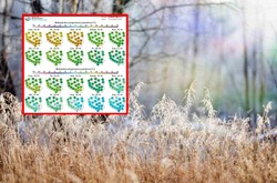 Nie tylko przymrozki, ale nawet śnieg. Najnowsza prognoza pogody na 10 dni