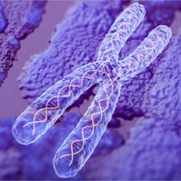 Óriási felfedezés: a telomerek  jelzőfehérjéi figyelmeztethetnek a rákra