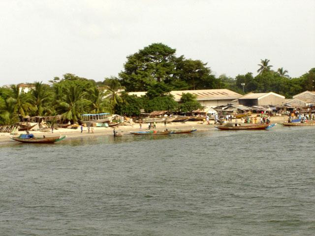 Galeria Gambia, obrazek 34