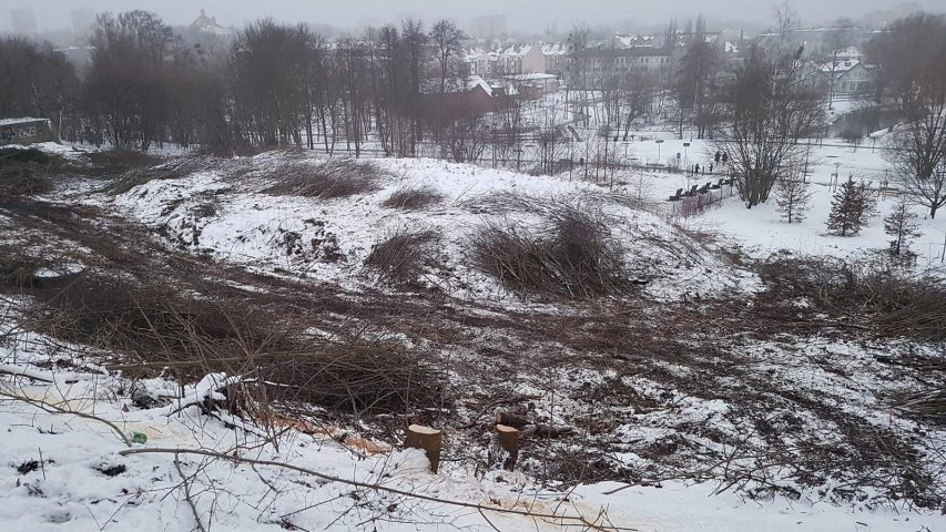 Rozpoczęto przygotowanie terenu w parku Centralnym pod kontrowersyjną inwestycję Arbetu [ZDJĘCIA]