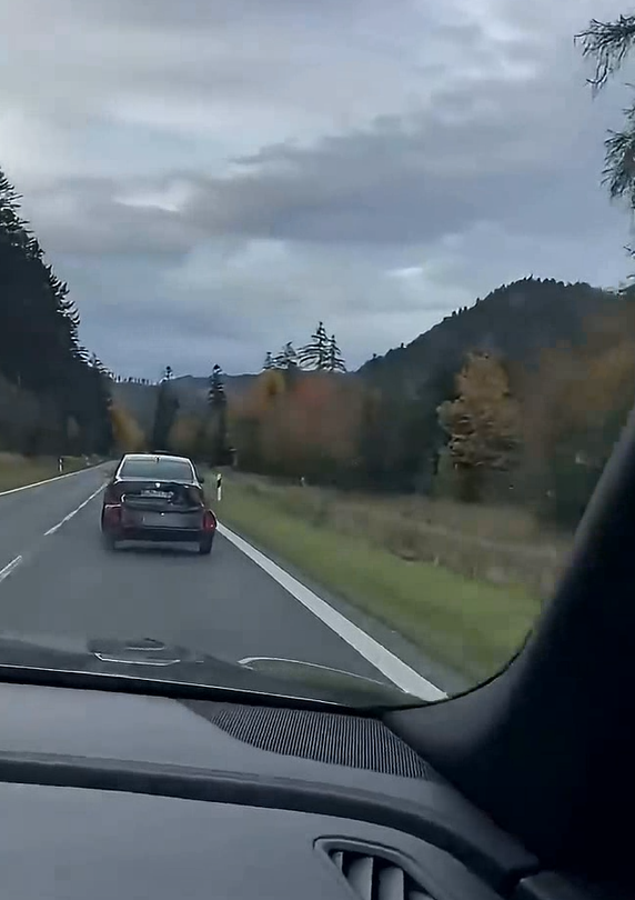 Vodič prevážal mŕtveho medveďa na vozíku.