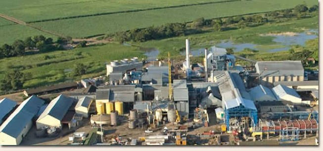 Tongaat’s sugar mills form part of a regional supply chain supporting growers, transporters, workers and suppliers across southern Africa. Photo credit; Tongaat Hulett 