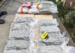 Zaplenjena marihuana u Kikindi