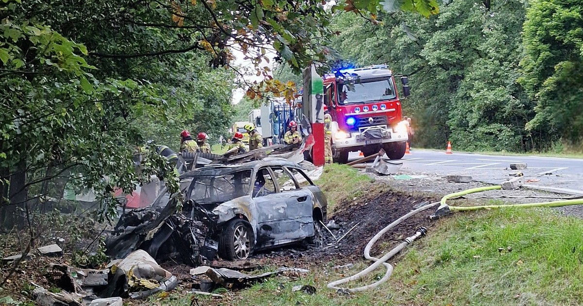 Auto stanęło w ogniu na DK 25. Makabryczne odkrycie strażaków